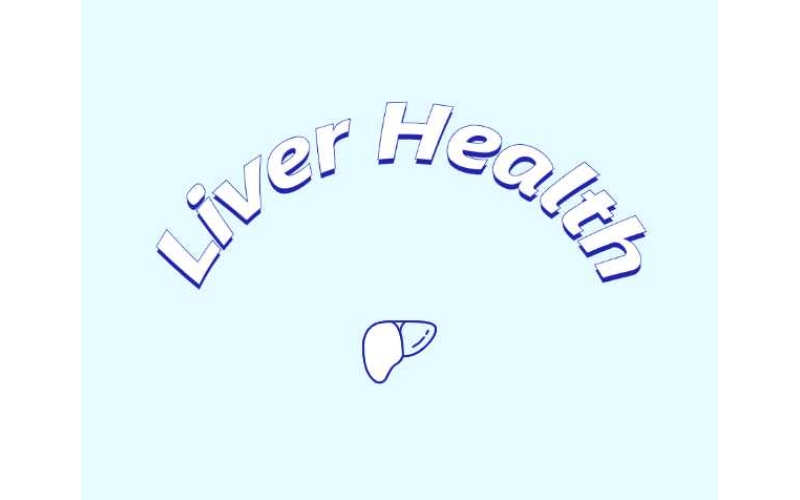 哪些原料可助力肝臟健康？